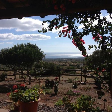 Agriturismo Su Nuragheddu Villa Galtellì Eksteriør bilde