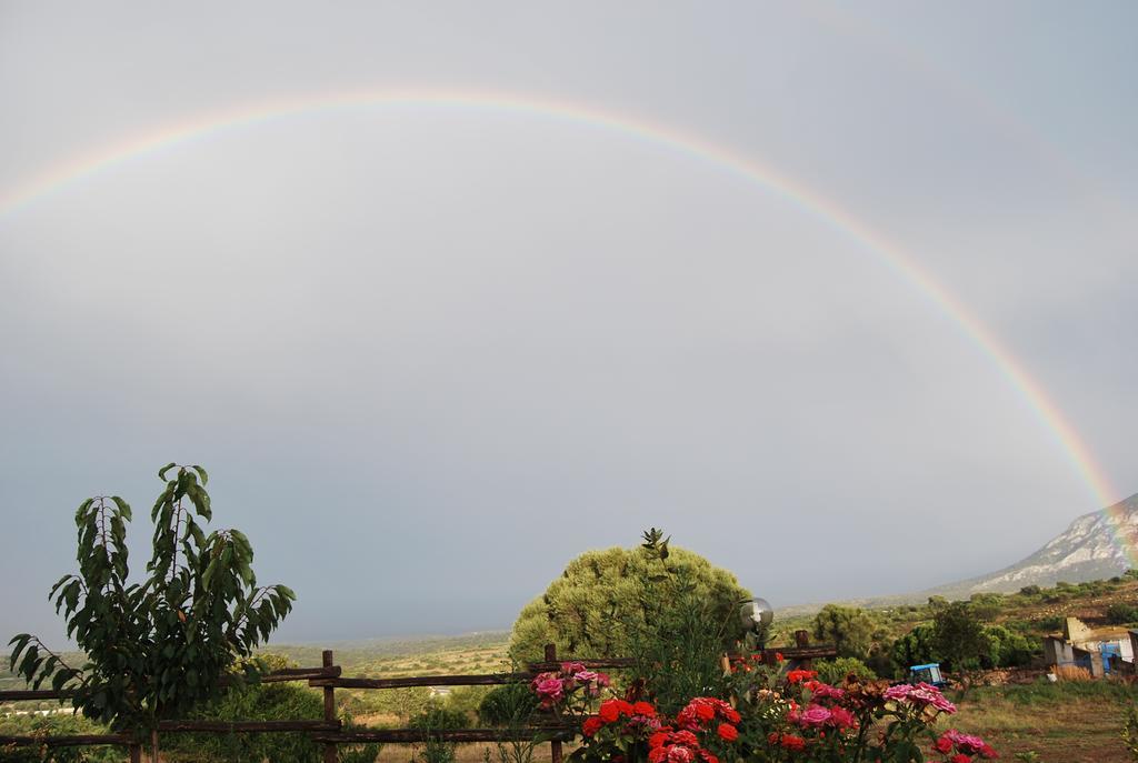Agriturismo Su Nuragheddu Villa Galtellì Eksteriør bilde