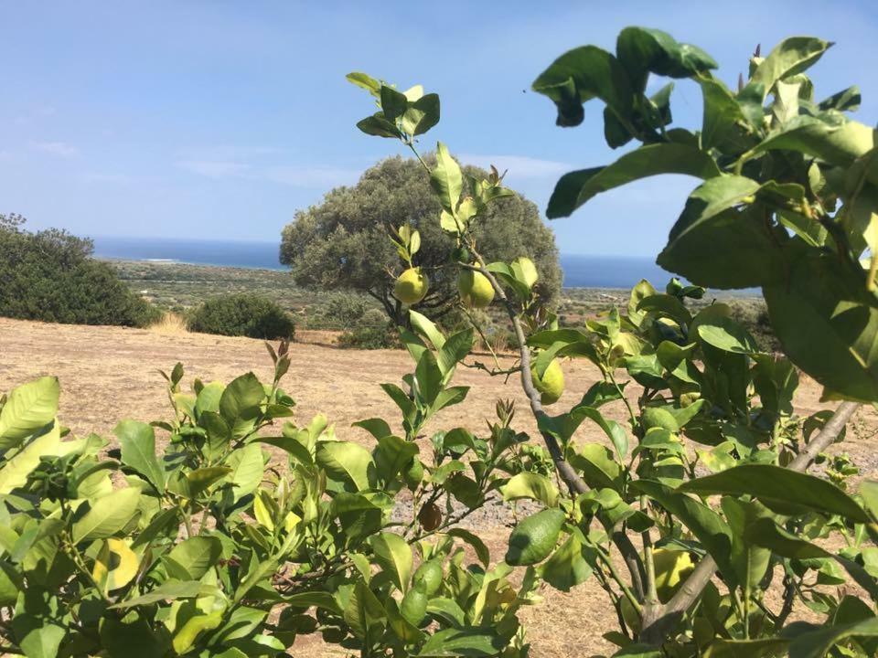 Agriturismo Su Nuragheddu Villa Galtellì Eksteriør bilde